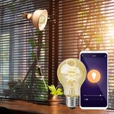 Smarthome- Verlichting  width=