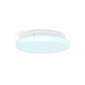 Wi-Fi slimme plafondlamp (26 cm) met optie om de lichten te dimmen en de kleurtemperatuur te wijzigen