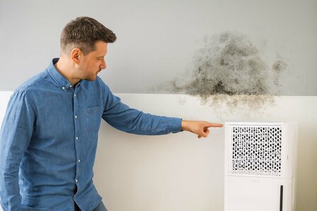 Luchtontvochtiger 10 liter per dag - Ontvochtiging / Automatisch / Was drogen / Ventilatie - Ja - 100 m&sup3;/h - Instelbare hygrostaat - 24-uurs timer