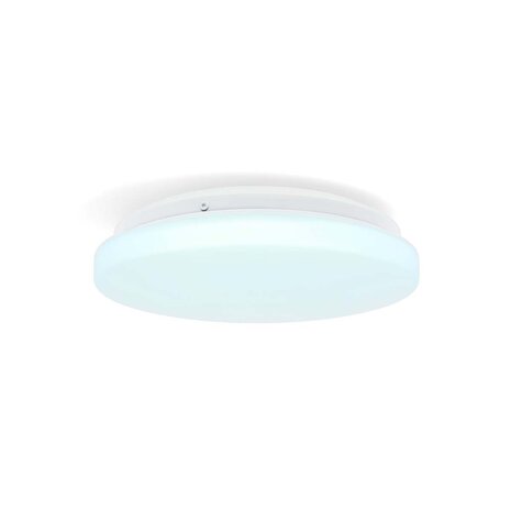 Wi-Fi slimme plafondlamp (26 cm) met optie om de lichten te dimmen en de kleurtemperatuur te wijzigen