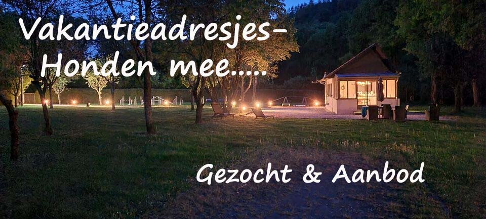 Vakantieadresjes-Honden-mee