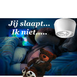 Hittemelder | Compact Design | Levensduur 10 Jaar Hittemelder | Compact Design | Levensduur 10 Jaar