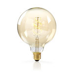 Dimbare vintage LED-gloeilamp E27 | G125 | 5 W | 260 lm Dimbare vintage LED-gloeilamp E27 | G125 | 5 W | 260 lm