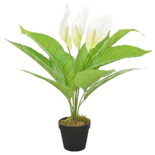 Kunstplant met pot Anthurium 55 cm wit Kunstplant met pot Anthurium 55 cm wit