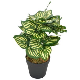 Kunstplant met pot watermeloenplant 45 cm groen Kunstplant met pot watermeloenplant 45 cm groen